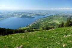 DSC00831