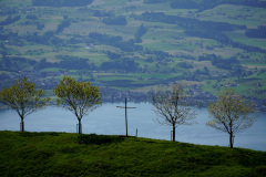 DSC00845