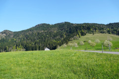 DSC00850