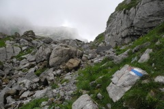 DSCN1157
