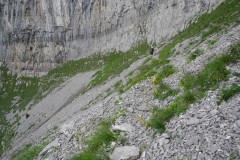 DSCN1190