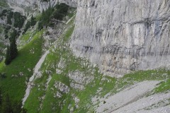 DSCN1191