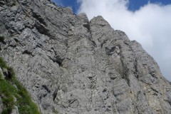 DSCN1194