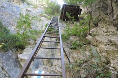 DSCN0130