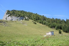 DSCN0146