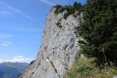 DSCN0149