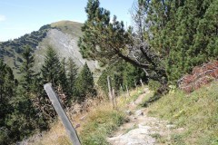 DSCN0168