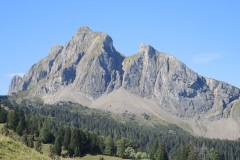 DSCN0169