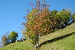 DSCN2160