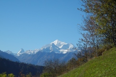 DSCN2161