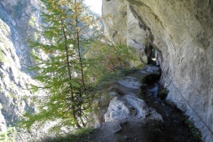 DSCN2173