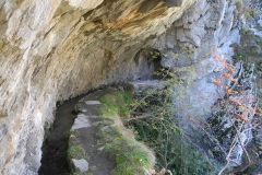 DSCN2176