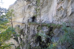 DSCN2182