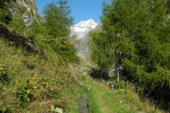 DSCN2183