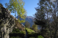 DSCN2195