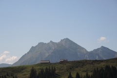DSCN2822