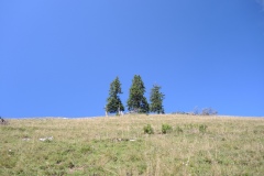 DSCN2827
