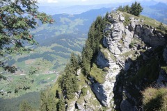 DSCN2831