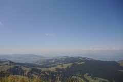 DSCN2845