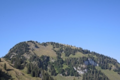 DSCN2861