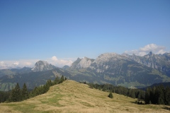 DSCN2863