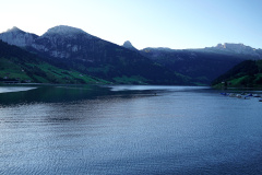 DSC09203