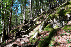 DSC09217