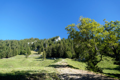 DSC09221