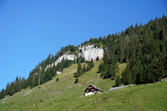 DSC09222