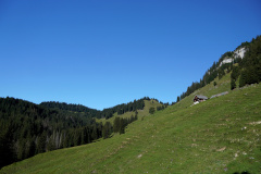DSC09227