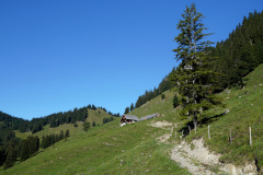 DSC09228