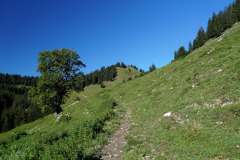 DSC09239