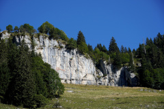 DSC09242