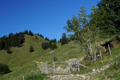 DSC09243