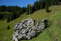 DSC09245