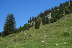 DSC09248
