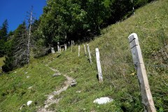 DSC09251
