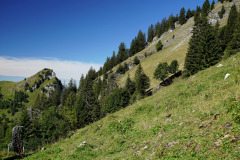 DSC09254