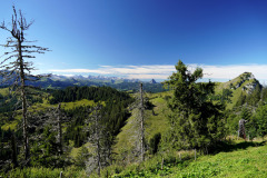 DSC09256