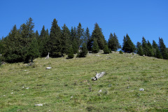 DSC09260