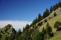 DSC09261