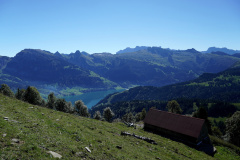 DSC09263