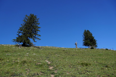 DSC09271
