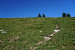 DSC09276