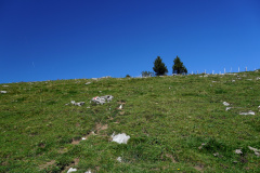 DSC09277