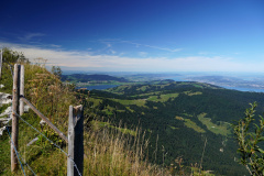 DSC09286