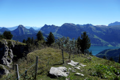 DSC09288