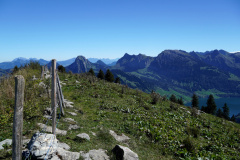 DSC09301