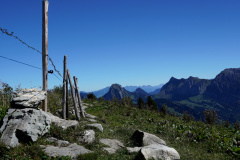 DSC09306