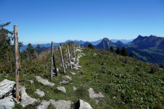 DSC09309